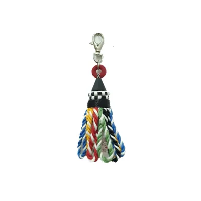 Rainbow school Key
